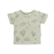 ASTER & OAK Tee Shirt - Frogs - New - OnChicBabyClothes