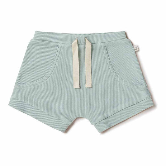 SNUGGLE HUNNY Shorts - Sage - New